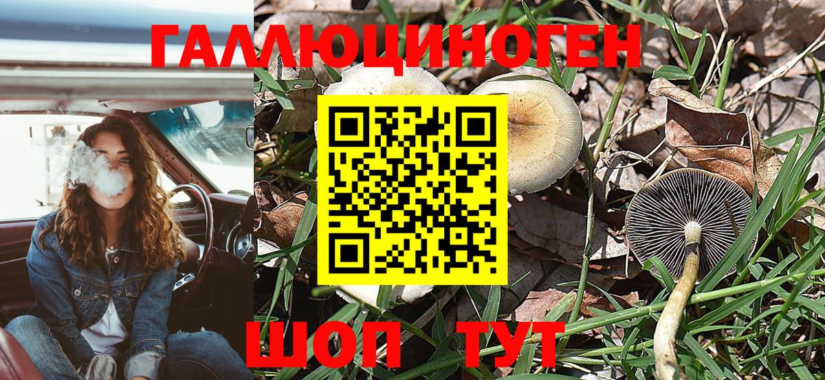 Галлюциногенные грибы мицелий Кореновск