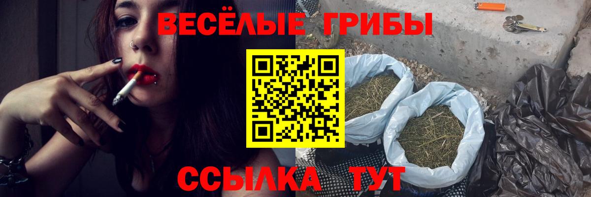 Кореновск  Псилоцибиновые грибы Psilocybe  Вход с VPN 